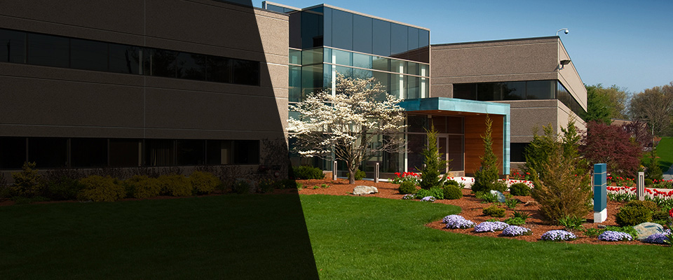 League City Landscapers